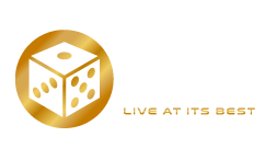 Vivo Gaming บาคาร่า